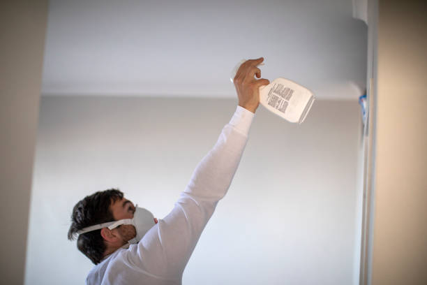 Best Toxic Mold Removal  in Mount Rainier, MD