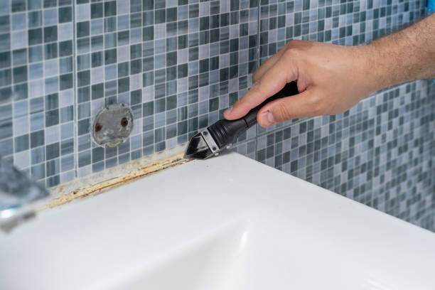 Mold Removal and Inspection in Mount Rainier, MD